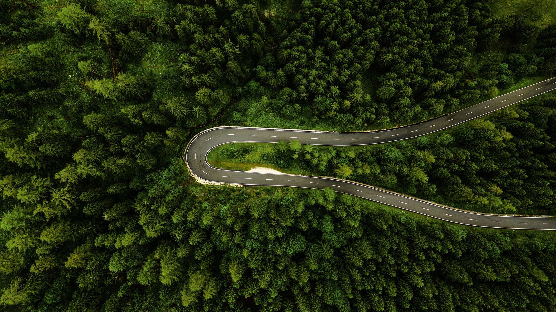 Arial shot of a road in the woods