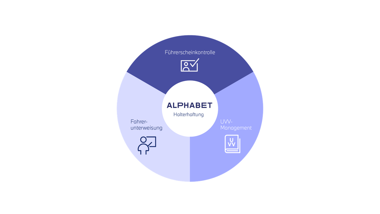 Infrografik zu den Elementen der Halterhaftung: Fahrerunterweisung, Führerscheinkontrolle, UVV-Management