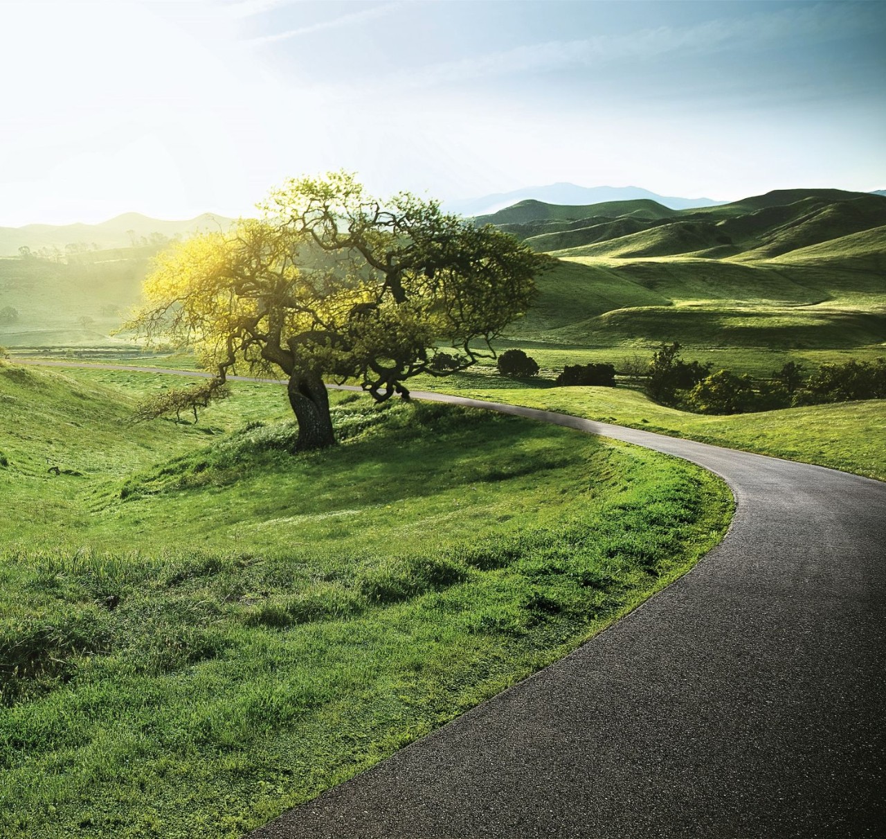 carretera en la naturaleza