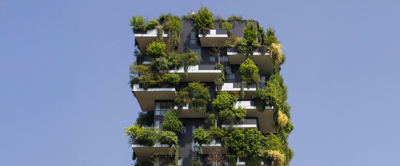 edificio verde con musgo alrededor