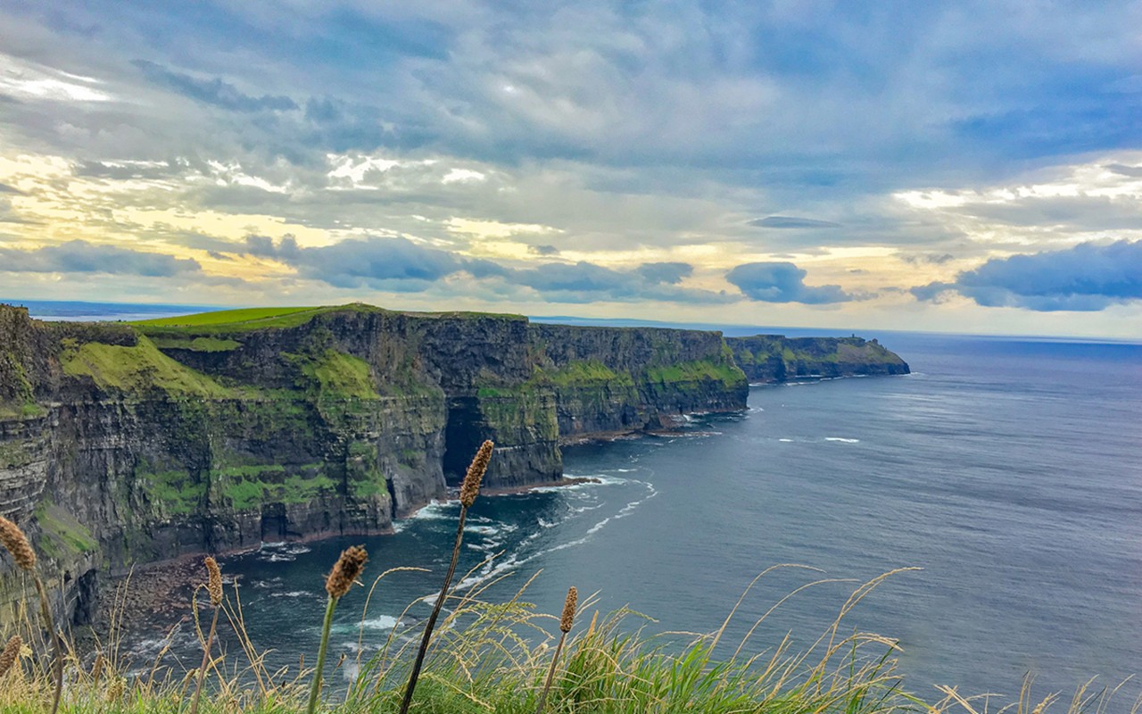 act_blog_avis_ireland_bild_1