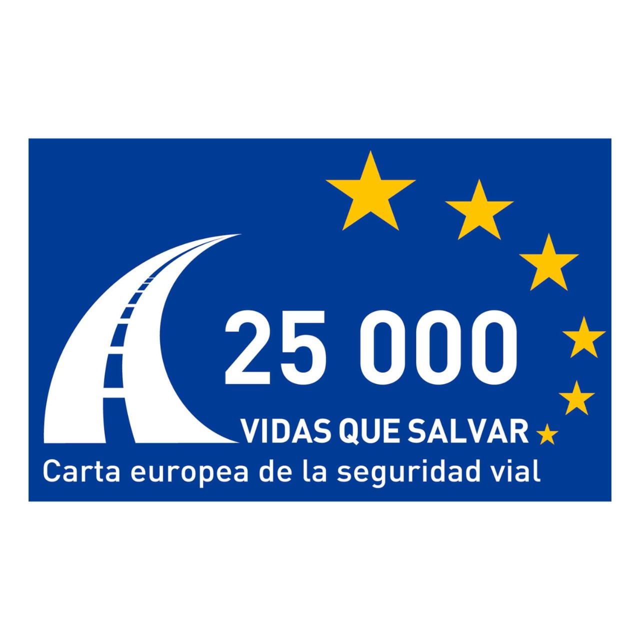 carta europea de la seguridad vial