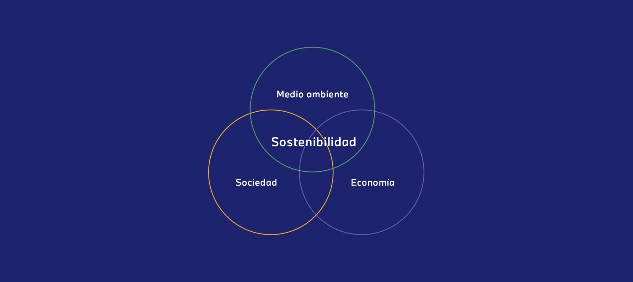 Sociedad, medio ambiente y economia, y su efecto en la sostenibilidad Organigrama