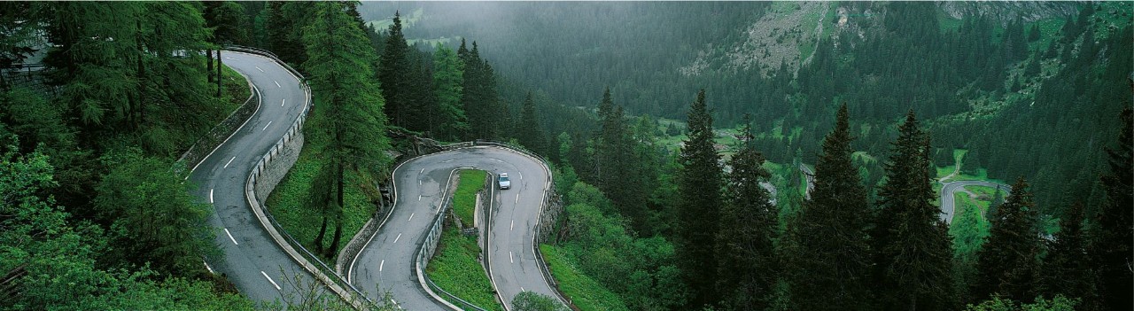 Carretera perdida en la nada rodeada de naturaleza en un dia gris.