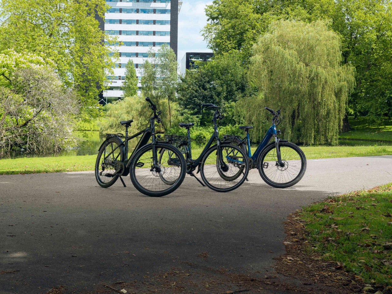 Drie fietsen op een pad in het park groene omgeving modern gebouw op de achtergrond.